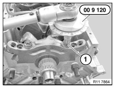 Crankshaft With Bearing